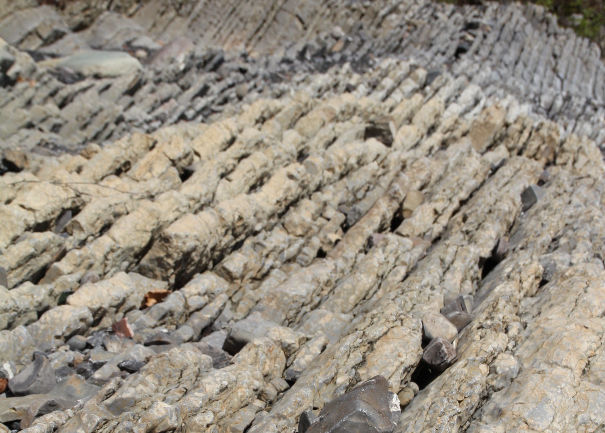Synlige geologiske spor